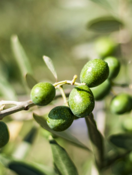 EMC易倍·(中国)体育官方网站-EMC SPORTS