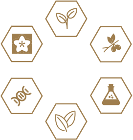 EMC易倍·(中国)体育官方网站-EMC SPORTS