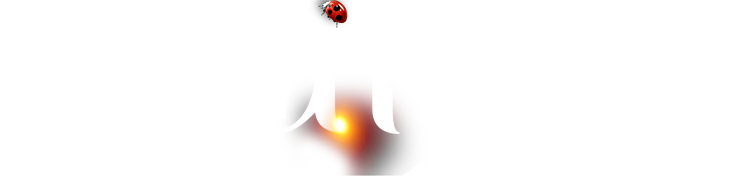 EMC易倍·(中国)体育官方网站-EMC SPORTS