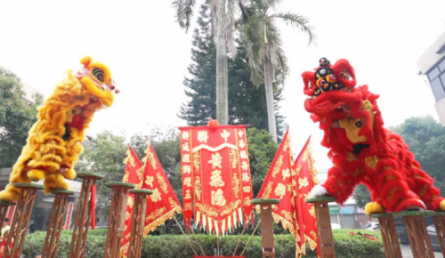 龙腾狮跃，共铸绚烂未来！！